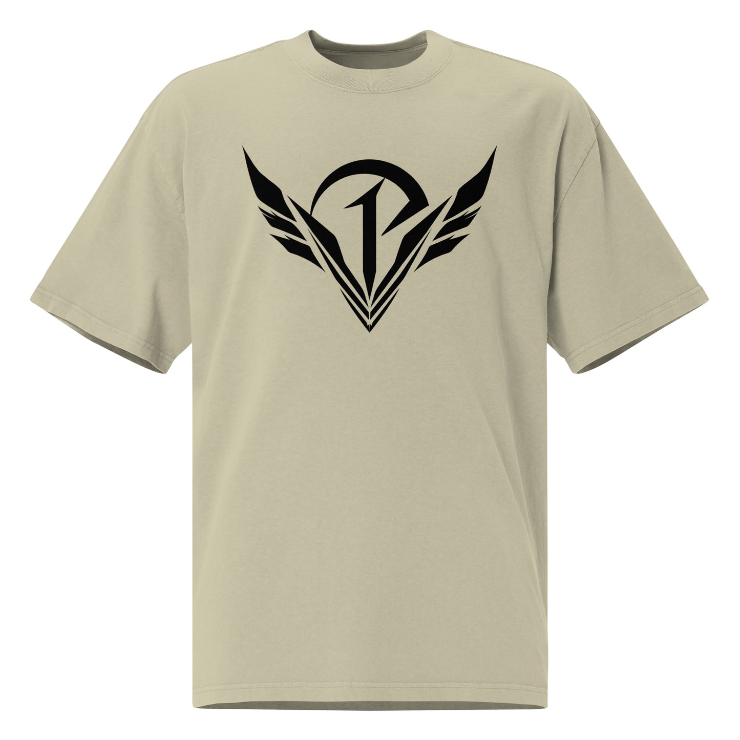 PBV-2024-0007 (Oversized faded t-shirt)